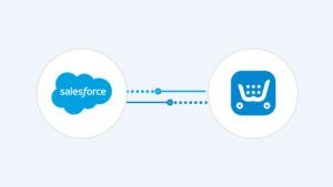 Salesforce Ecwid Integration