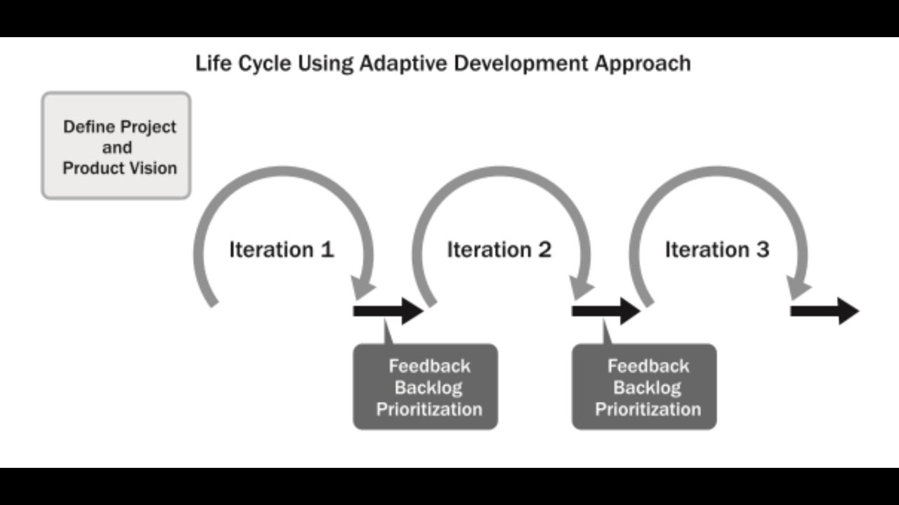 PMP Domains: Development Approach and Life Cycle 