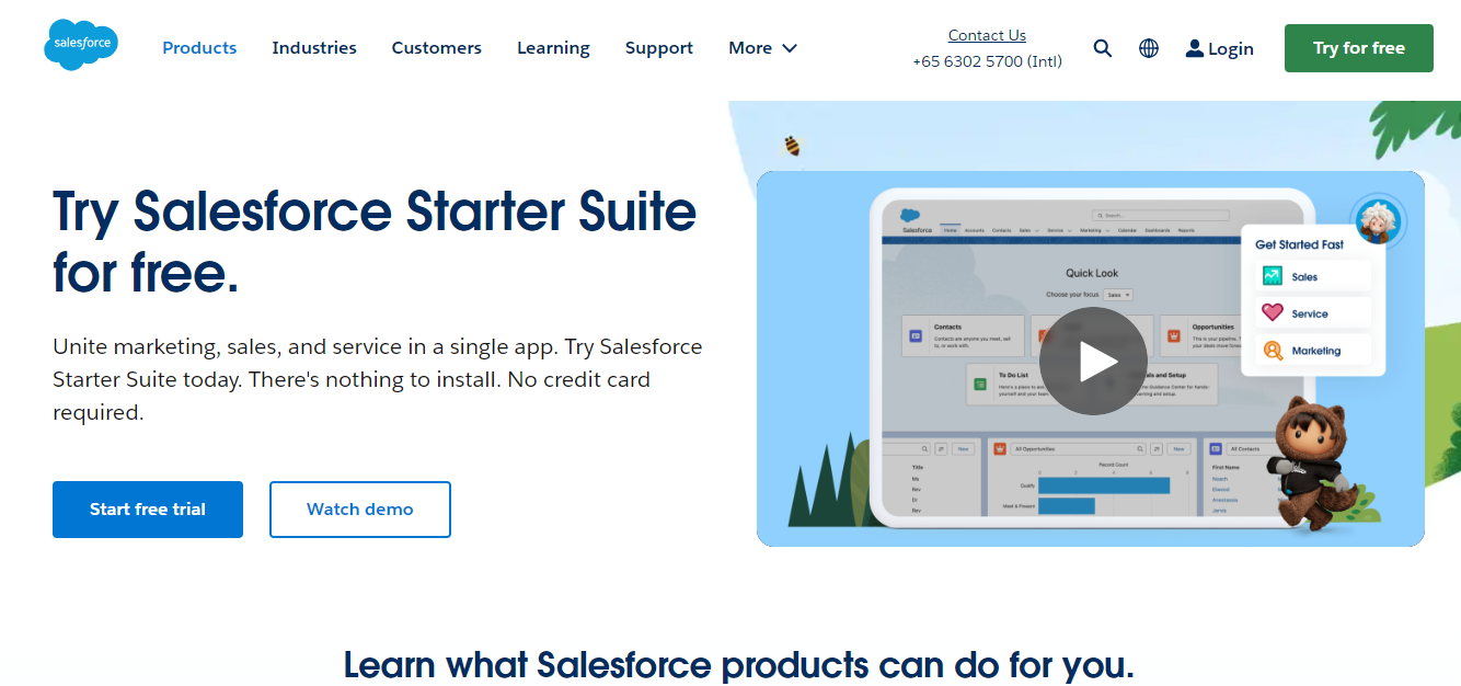 What is Salesforce